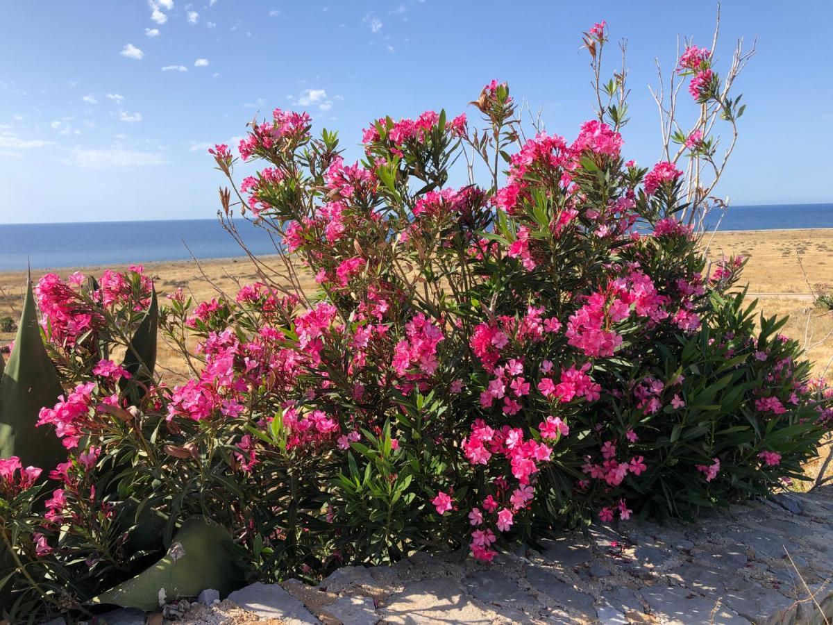Casetta Calamancina 圣维托罗卡波 外观 照片